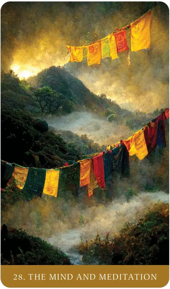 The Path of Light Oracle Cards